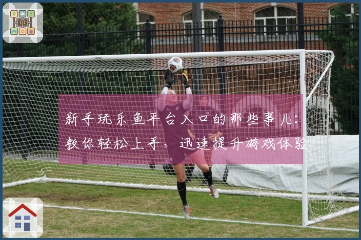 新手玩乐鱼平台入口的那些事儿：教你轻松上手，迅速提升游戏体验！