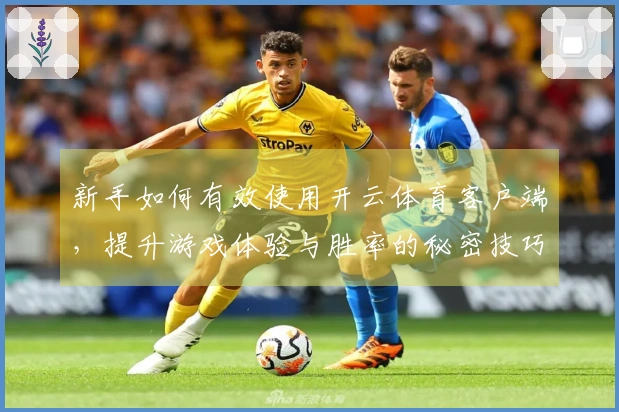 新手如何有效使用开云体育客户端，提升游戏体验与胜率的秘密技巧